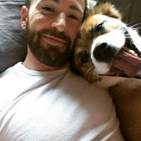 Chris Evans with Dogs