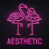 Flamingo Aesthetic