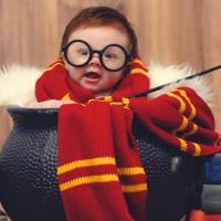 Baby Harry Potters
