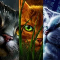Warrior Cat Book Covers