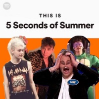 5 Seconds of Summer Memes