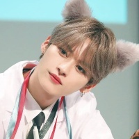 Lee Know (Stray Kids)
