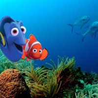Cute Finding Nemo