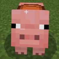 Minecraft Pigs
