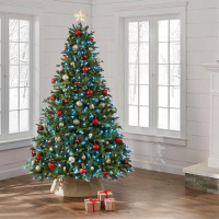 Nice Christmas Trees