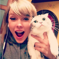 Taylor Swift With Cats