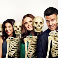 Bones Tv Show