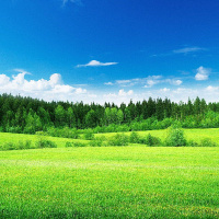 Green Landscapes