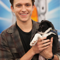 Tom Holland With Puppies