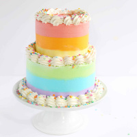 Rainbow Cakes