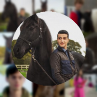 2048 Free Rein