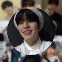 2048 Seungmin (StrayKids)