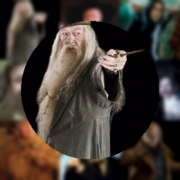 2048 Harry Potter Professors